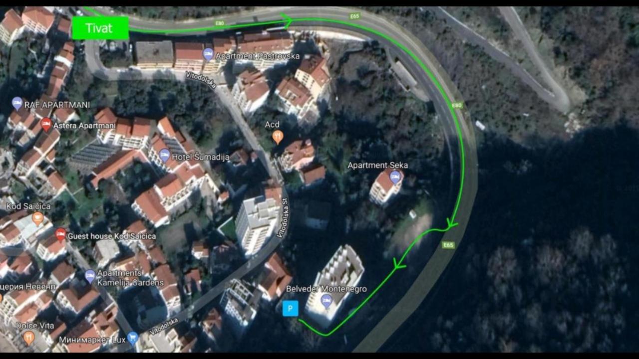 Apartment Belveder Montenegro *